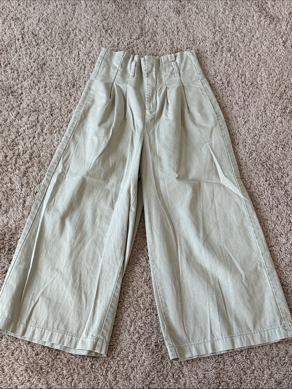American Eagle Outfitters Wide-Leg Pleated Pants in Sage Green